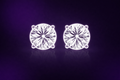 Moissanite Earrings